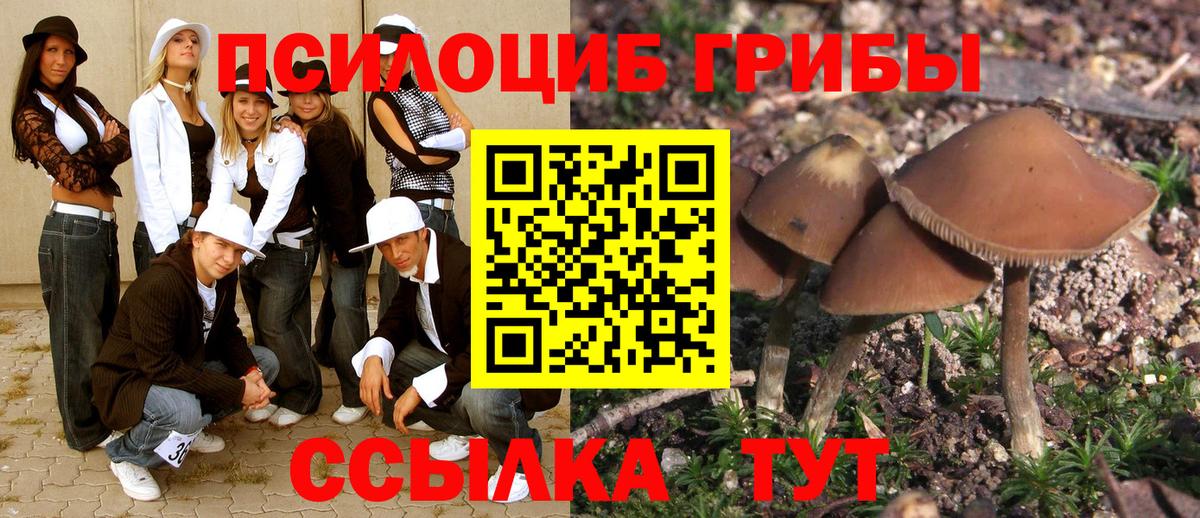 Черногорск  Псилоцибиновые грибы MAGIC MUSHROOMS  Псилоцибиновые грибы мухоморы  Вход с VPN 